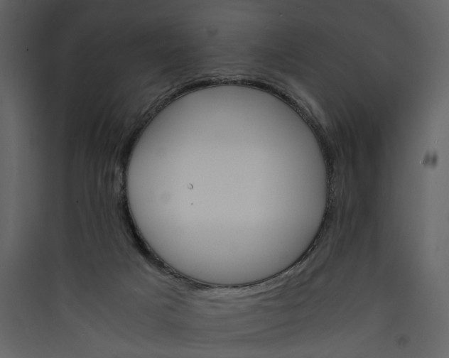 X0000089930025200707131442