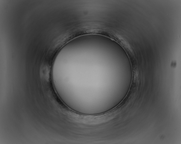 X0000089930026200707131442