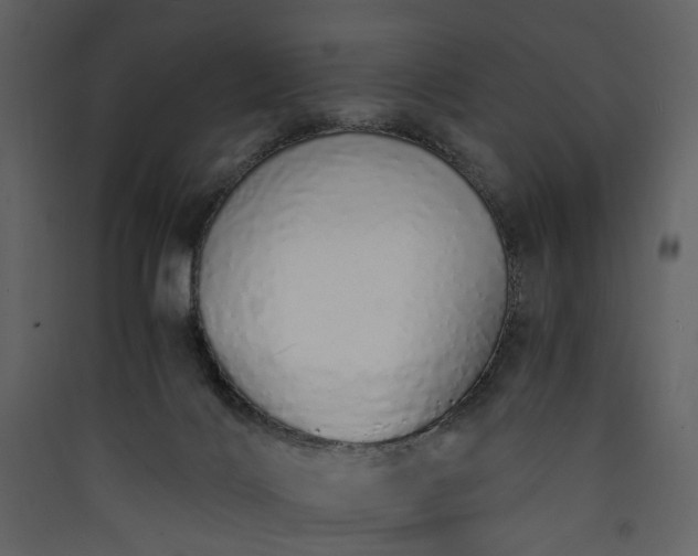 X0000089930028200707131442