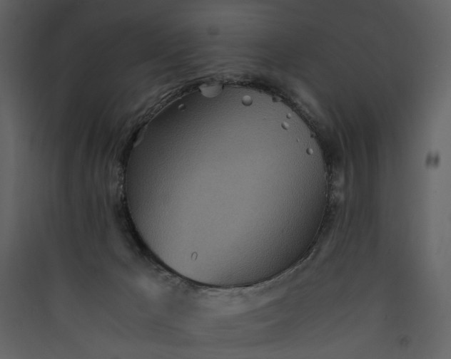 X0000089930029200707131441