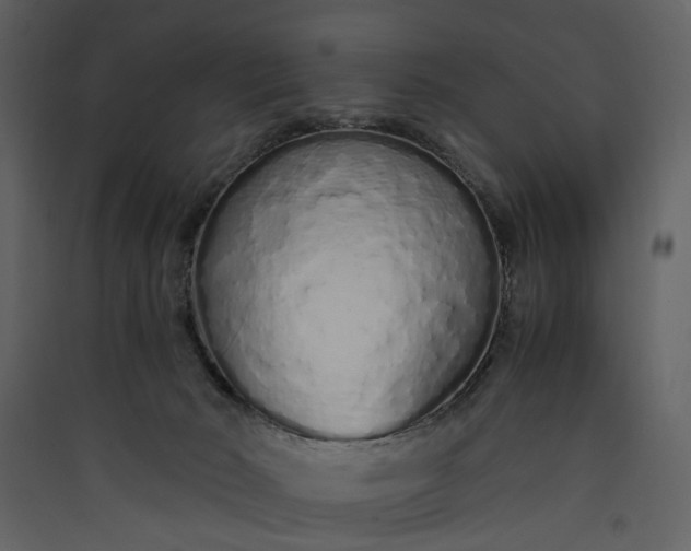 X0000089930030200707131441