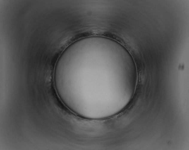 X0000089930032200707131441