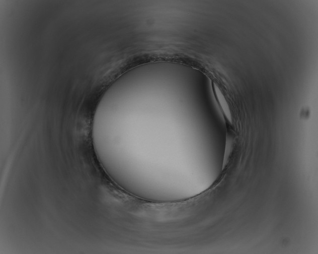 X0000089930033200707131441