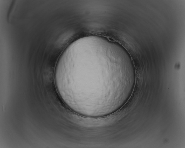 X0000089930034200707131441