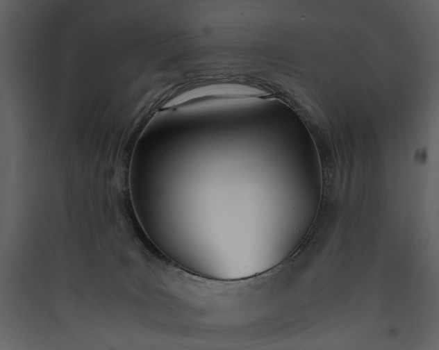 X0000089930035200707131441