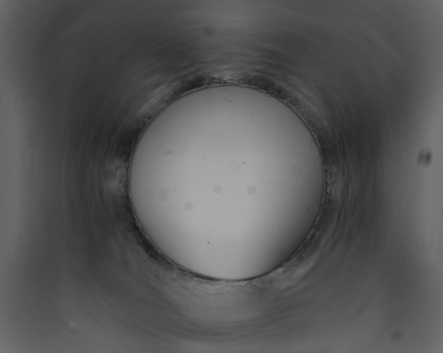 X0000089930036200707131441