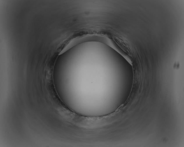 X0000089930037200707131441