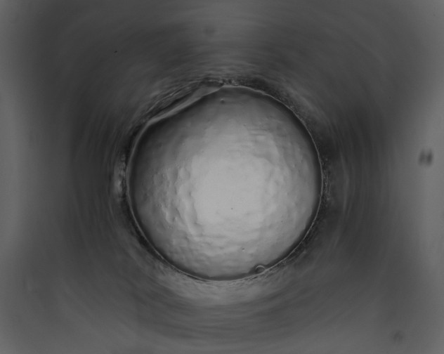 X0000089930038200707131441