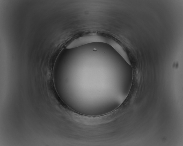 X0000089930039200707131441