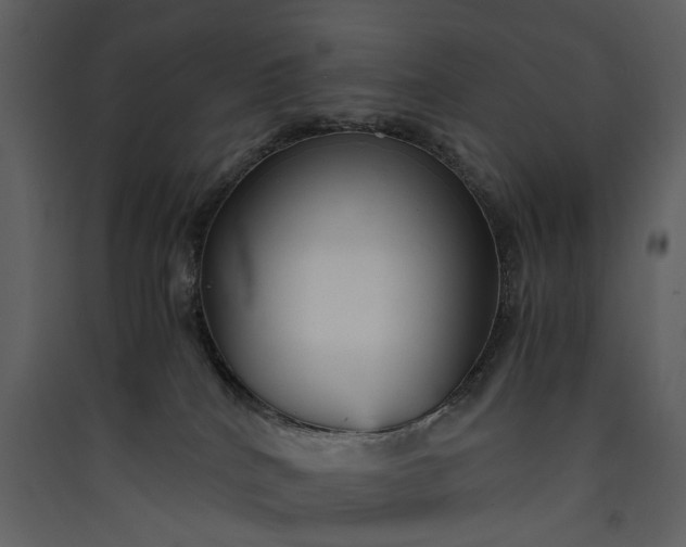 X0000089930040200707131441