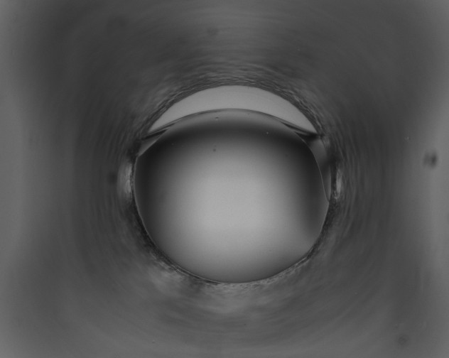 X0000089930041200707131441