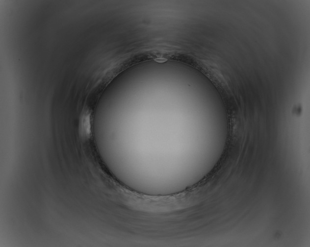 X0000089930042200707131441