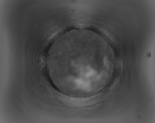 X0000089930043200707131441