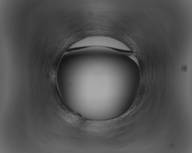 X0000089930045200707131441