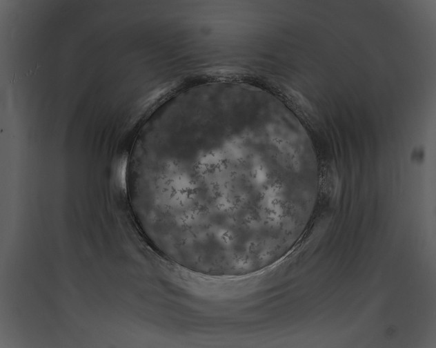 X0000089930047200707131441