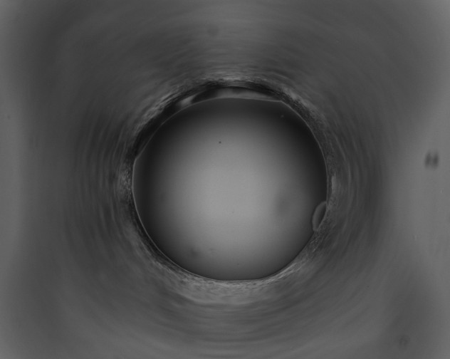 X0000089930048200707131441