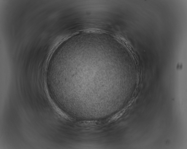 X0000089930049200707131440