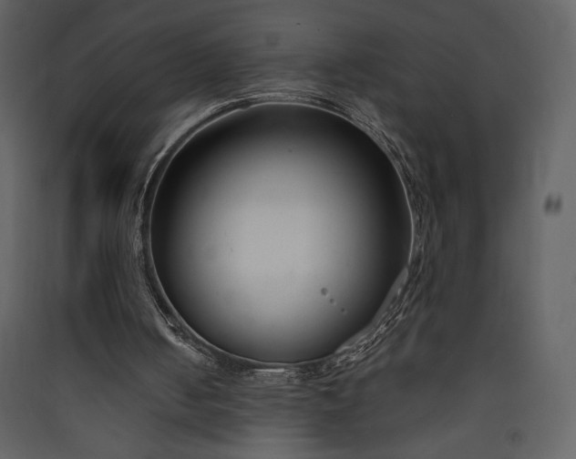 X0000089930050200707131440