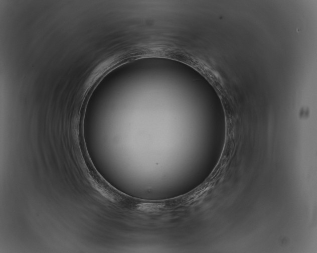 X0000089930051200707131440