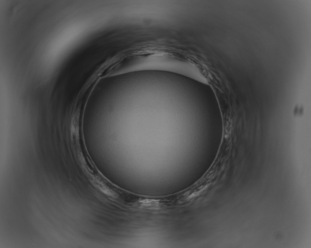 X0000089930052200707131441