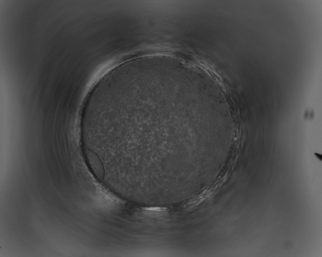 X0000089930053200707131441