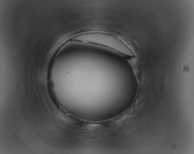 X0000089930055200707131441