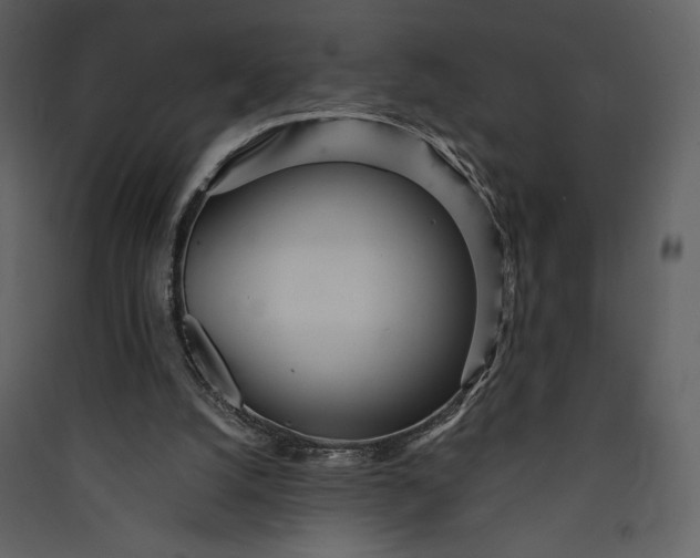 X0000089930056200707131441