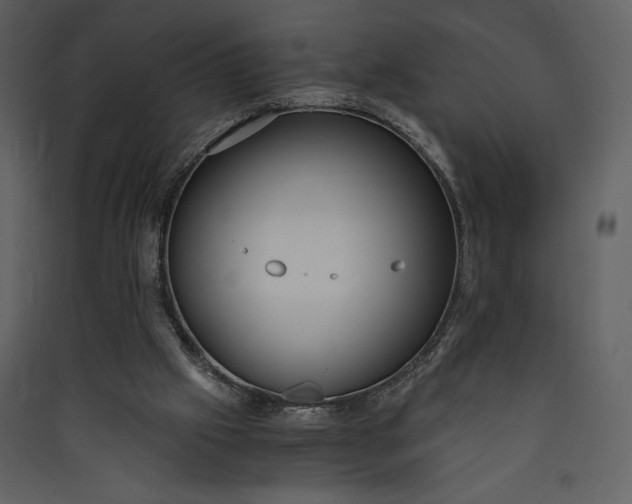 X0000089930057200707131441