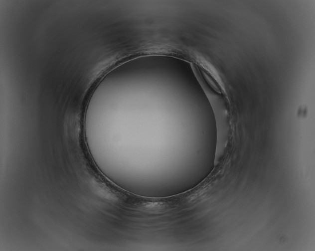 X0000089930059200707131441