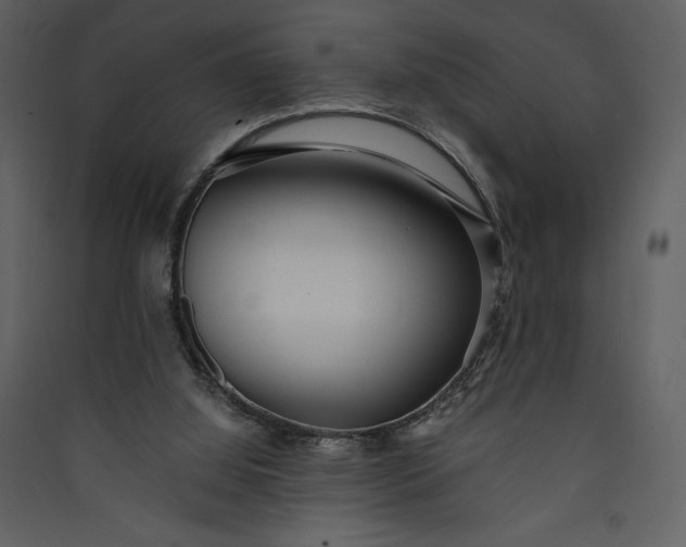 X0000089930060200707131441