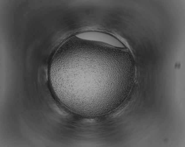 X0000089930061200707131441