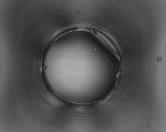 X0000089930062200707131441