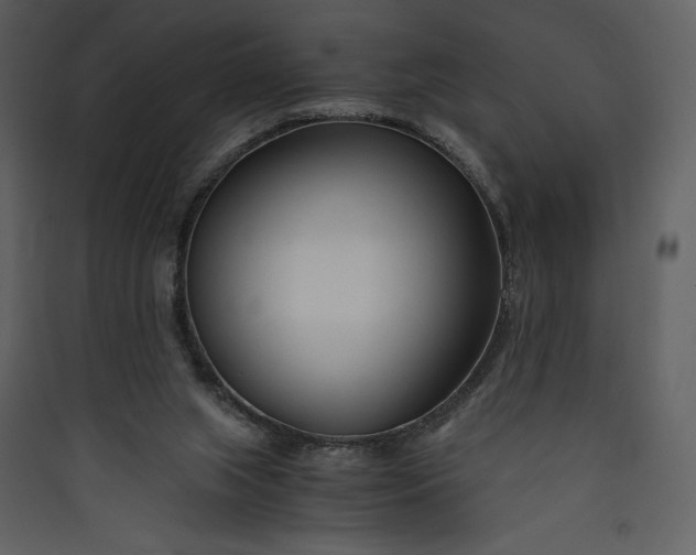 X0000089930063200707131441