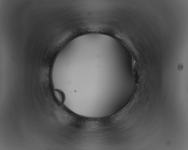 X0000089930066200707131441