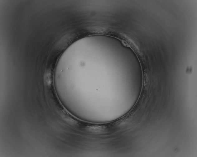 X0000089930069200707131441