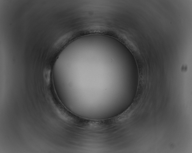 X0000089930070200707131441