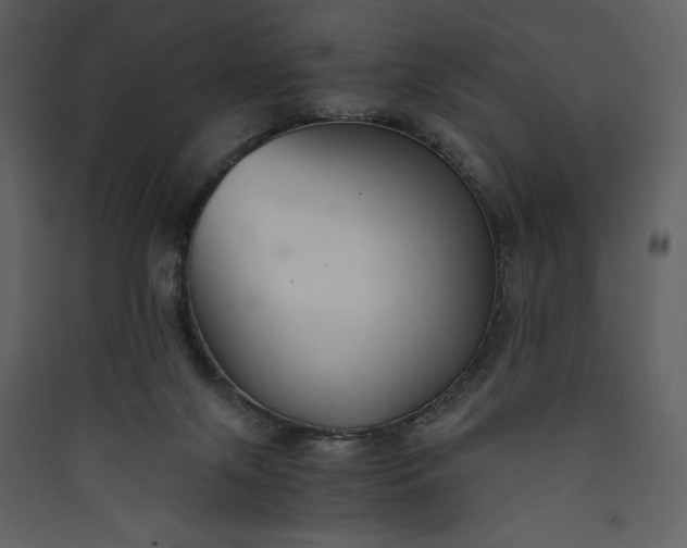 X0000089930071200707131441