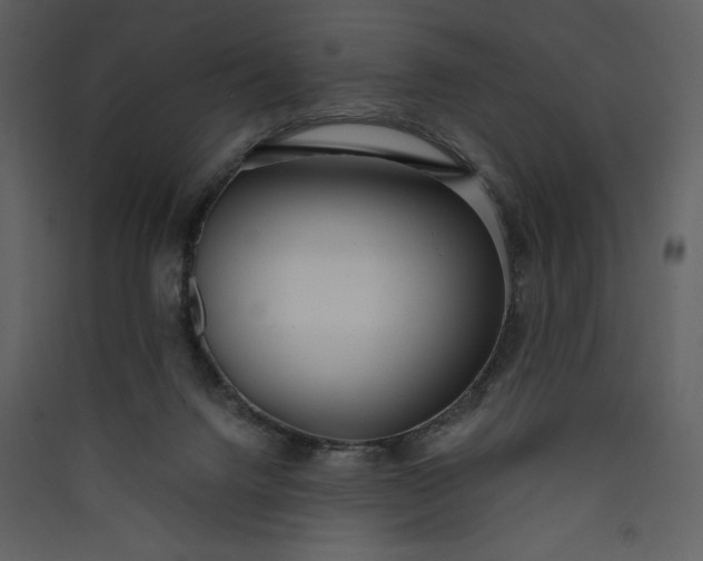 X0000089930072200707131441