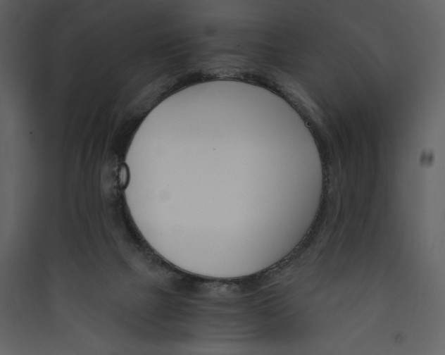 X0000089930073200707131441