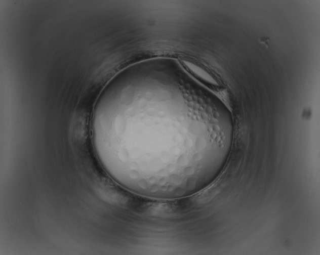 X0000089930074200707131441