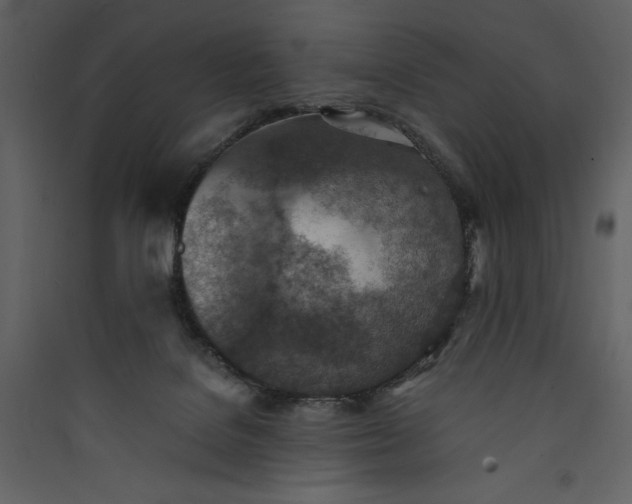 X0000089930076200707131441