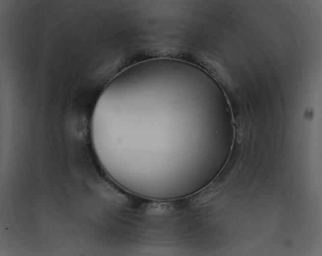 X0000089930077200707131441