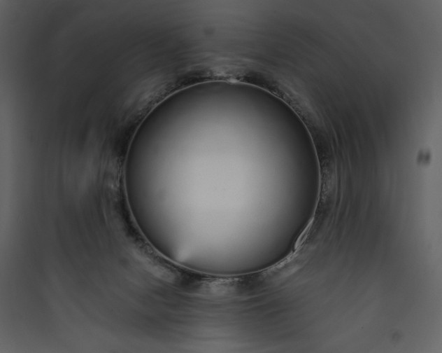 X0000089930078200707131441