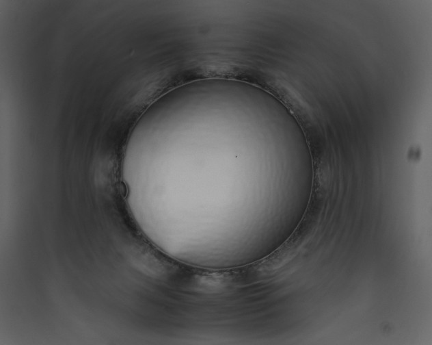 X0000089930079200707131441