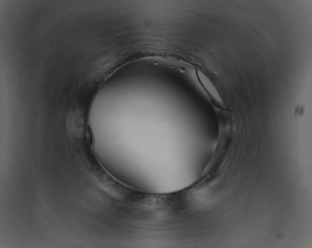 X0000089930080200707131441