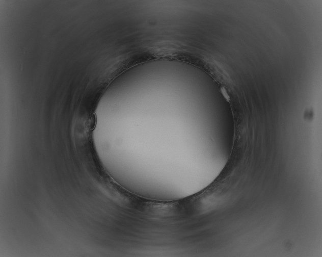 X0000089930081200707131441