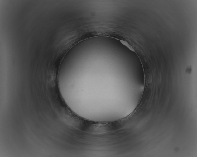 X0000089930082200707131441