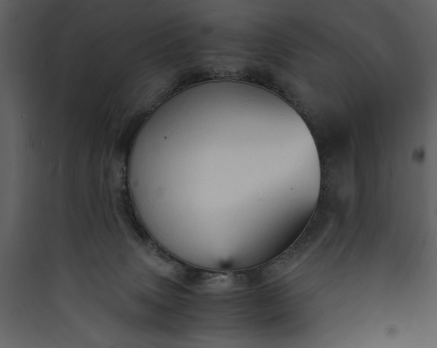 X0000089930083200707131441