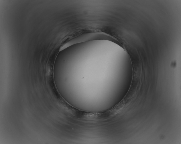 X0000089930084200707131441