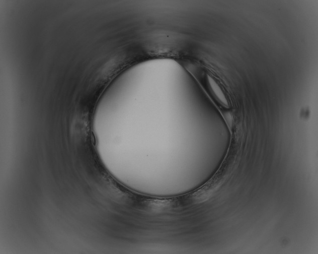 X0000089930085200707131441